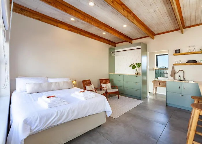 Lily\'S Pad